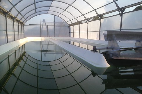 our-story Picture of Water Pool
